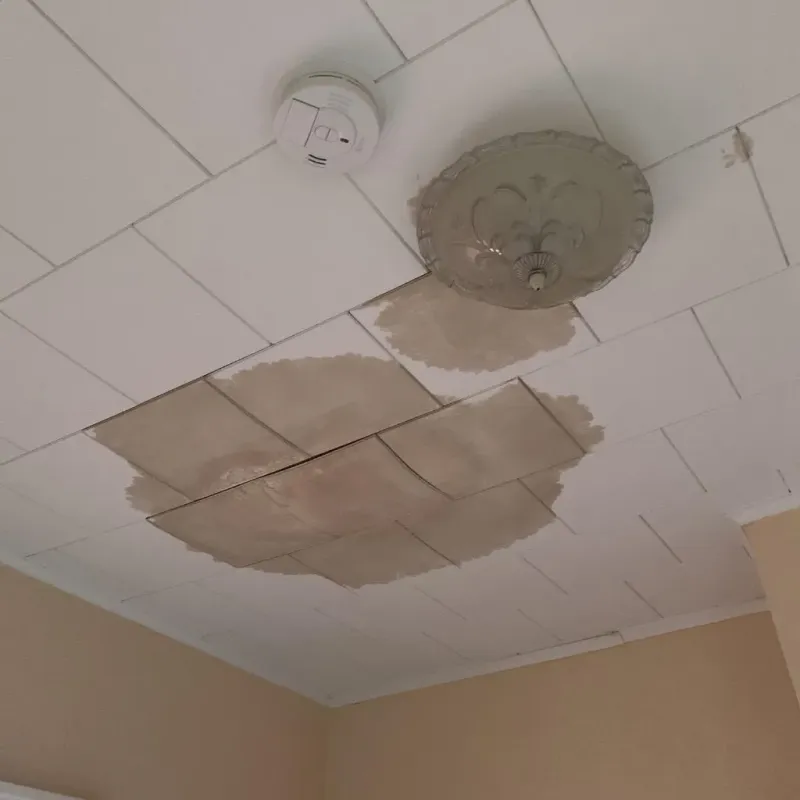 Ceiling Water Damage Repair in Rockwall County, TX