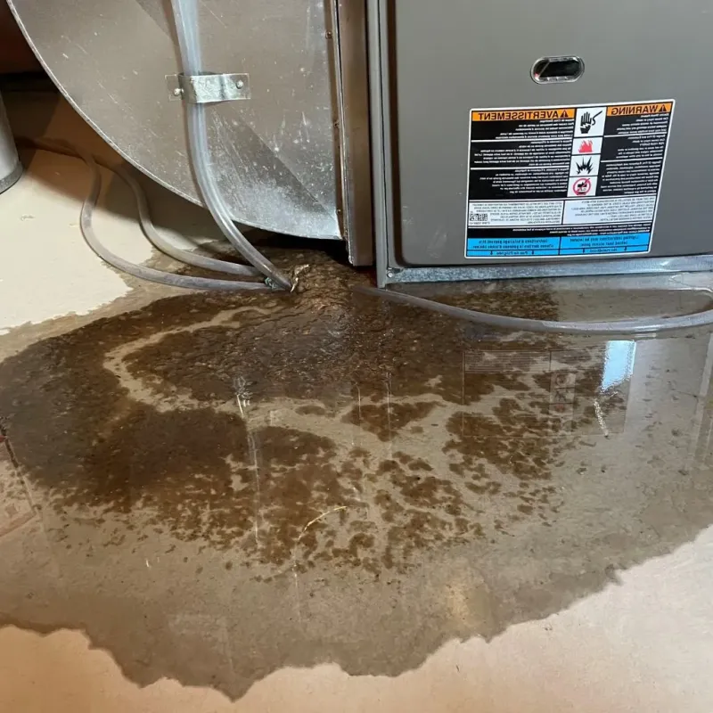 Pipe Burst and Leak Restoration in Rockwall County, TX